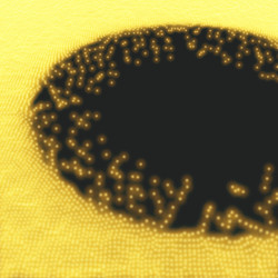 array with dynamic particles 3d futuristic grid vector image