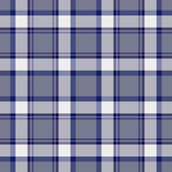 classic plaid pattern with intersecting lines vector image