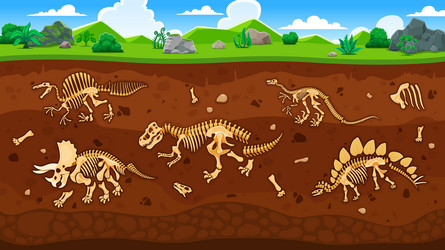 dinosaur fossils in ground layers cross section vector image