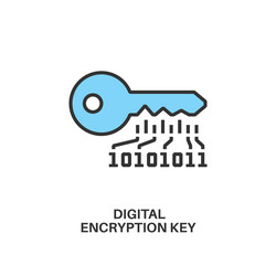 Digital encryption key icon vector