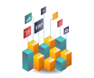 erp systems in business network development vector image