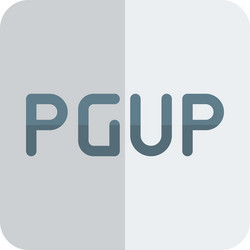 page up function key in computer keyboard layout vector image