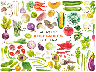 Watercolor Vegetable Clipart Set Vector Image