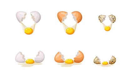 Broken chicken and quail eggs color icon set vector