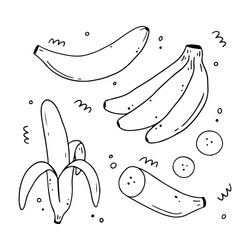 Set hand drawn banana fruit doodle style vector