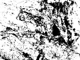scratch grunge rusty background for create object vector image