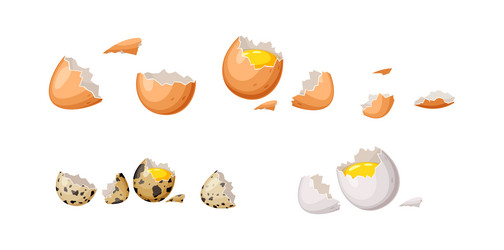 broken eggs with shell color icon set on white vector