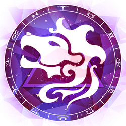 Leo Zodiac Symbol Vector Image