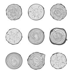 Natural tree rings background saw cut trunk Vector Image
