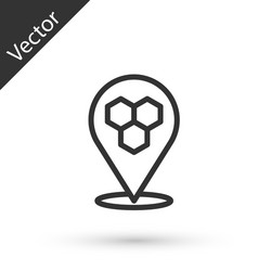 Grey line honeycomb bee location map pin pointer vector