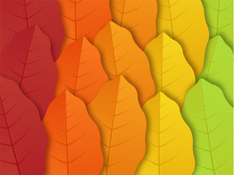 autumn leaves background vector