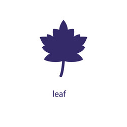 Leaf element in flat simple style on white vector