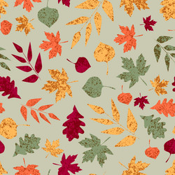 seamless pattern with different autumn leaves vector image