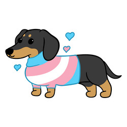 dog trans flag high quality vector