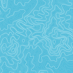 topographic map background with space for copy vector image
