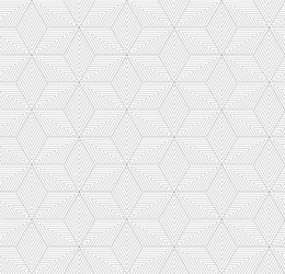 abstract geometric seamless linear pattern vector image