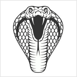 Cobra snake in old school tattoo style design Vector Image