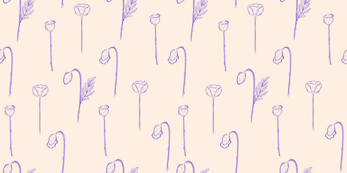 seamless pattern with poppies spring or summer vector image