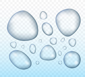 Transparent water drop on light gray background vector