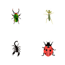 Set of insect realistic symbols with beetle vector