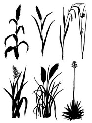 Silhouetted Cones and Plant Forms Vector Image