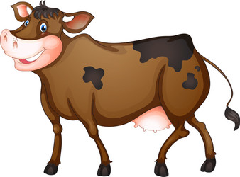 Large brown cow white background Royalty Free Vector Image