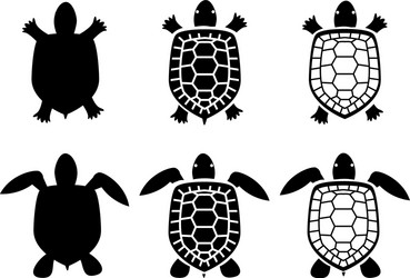 Set of turtle and tortoise iconstop view vector