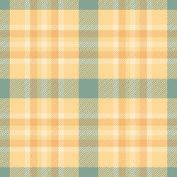 complexity tartan pattern graphical fabric vector image