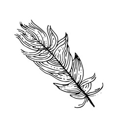 Hand drawn feathers doodle Royalty Free Vector Image