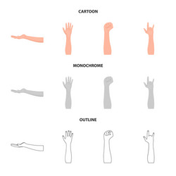 isolated object and animated icon set vector image