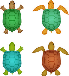 turtle and tortoise in realistic style top view vector