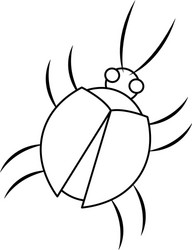 virus bug hacking computer software vector