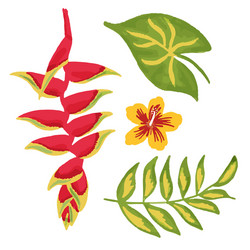 Exotic Heliconia Tropical Leaves Vector Image