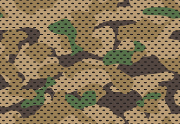 Army Camouflage Pattern vector image