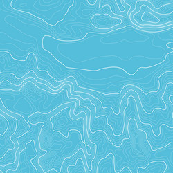 topographic map background with space for copy vector image