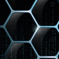 Binary Code & Security Grid vector image