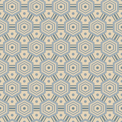seamless pattern with hexagons vector image
