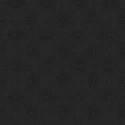 Intricate Ethnic Pattern vector image