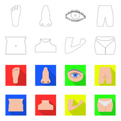 isolated object of human and part symbol set vector image