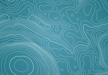 abstract topographic map background with height vector image