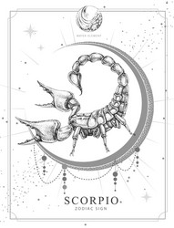 Scorpio Astrology Magic Card Vector Image