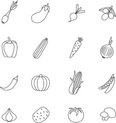 vegetables lined isolated icon flat set vector