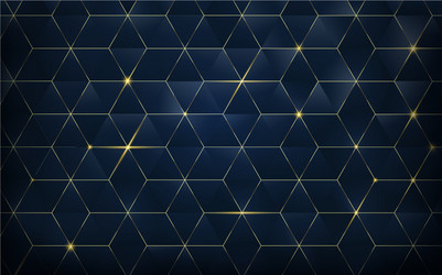 Modern black luxury abstract background Royalty Free Vector