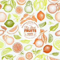 Citrus Fruits Seamless Pattern Vector Image