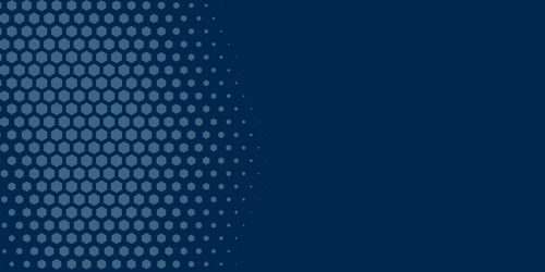 Geometric abstract hexagon two color background vector