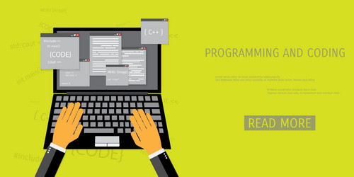 flat concept of programming and coding vector image