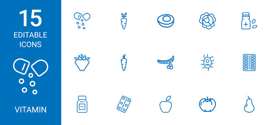 15 vitamin icons vector