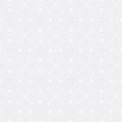 Intricate Ethnic Pattern vector image