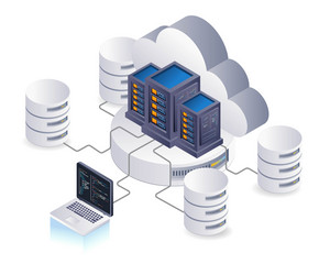 database network cloud server programmer vector image
