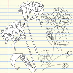 Notebook set with peony and freesia vector